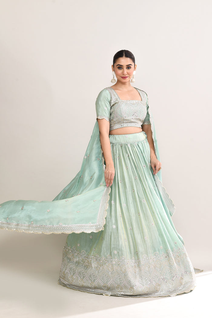 Pastel Soft Green Shimmer Embroidered Lehenga Set