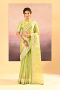Pear Green Tissue Embroidered Saree