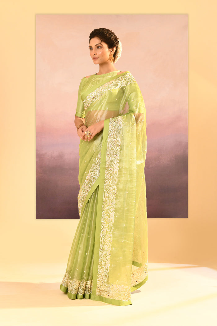 Pear Green Tissue Embroidered Saree