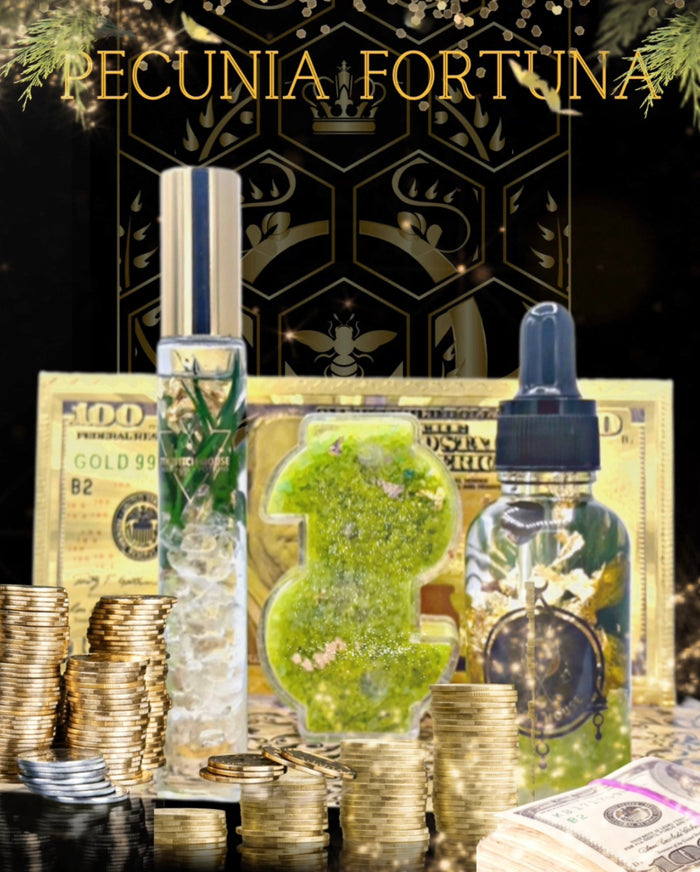 Pecunia Fortuna Potion Set
