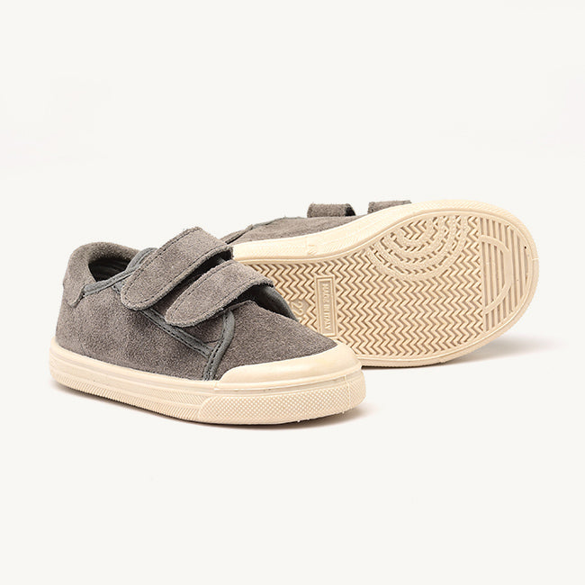 PèPè Dino Grey