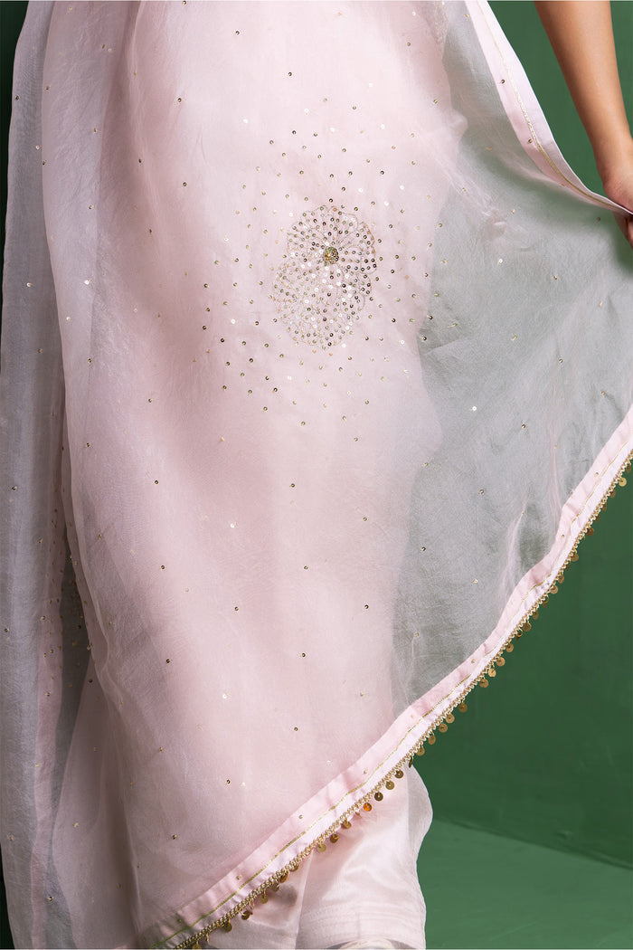 Piggy Pink Silk Organza Saree With Sequins Work