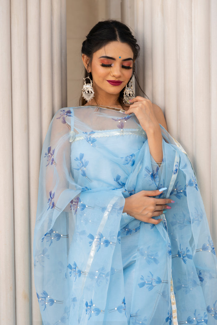 Powder Blue Silk Blend Salwar Set With Floral Organza Dupatta