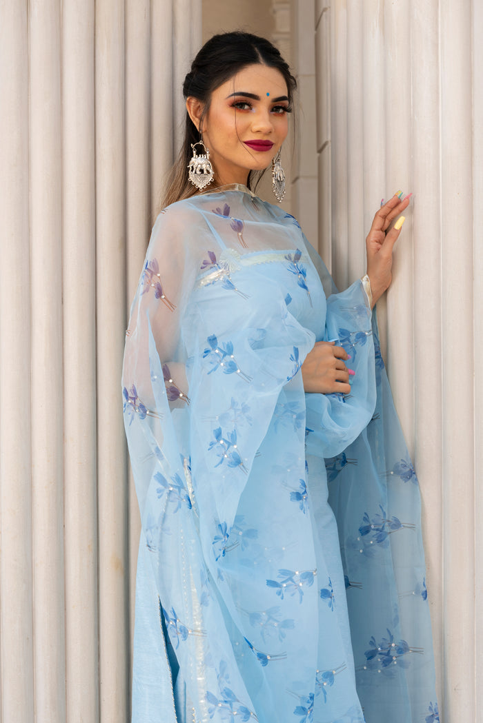 Powder Blue Silk Blend Salwar Set With Floral Organza Dupatta