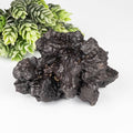 Prophecy Stone 278 g 65x65mm - InnerVision Crystals