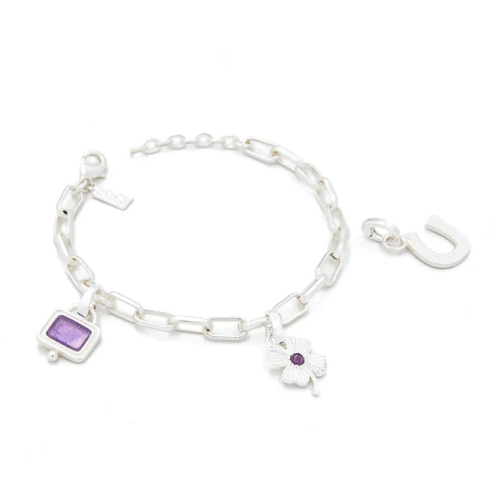 Protection Interchangeable Charm Bracelet in Amethyst Silver - Madison's Niche