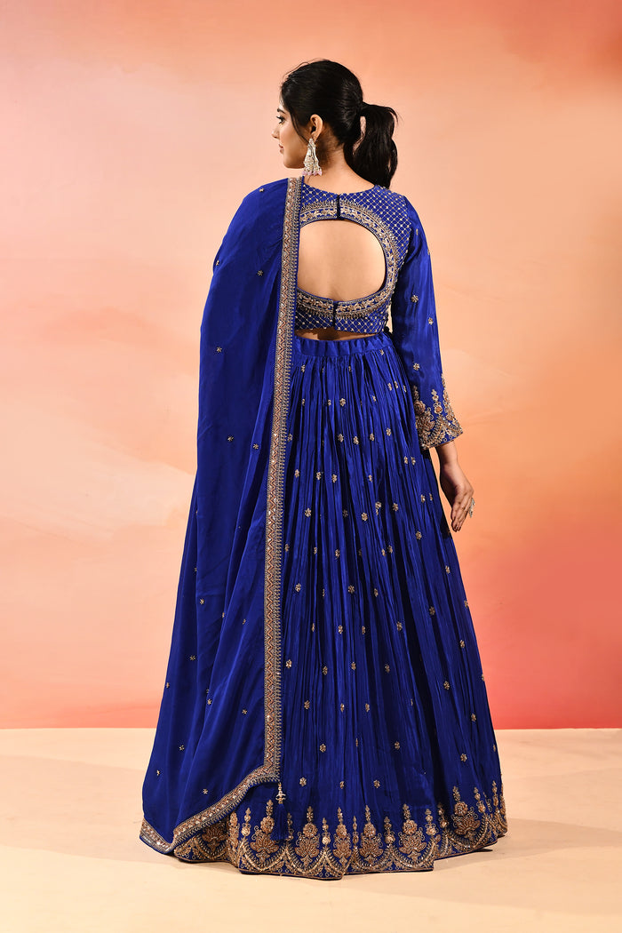 Royal Sapphire All Over Embroidered Lehenga Set