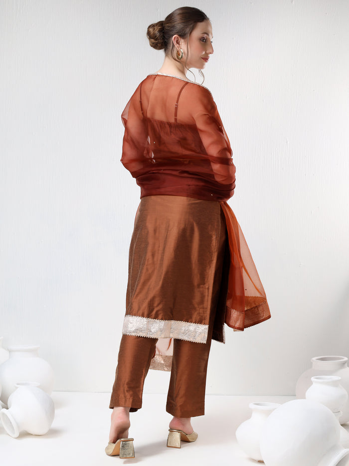 Rust Brown Silk Blend Salwar Set With Sheer Dupatta