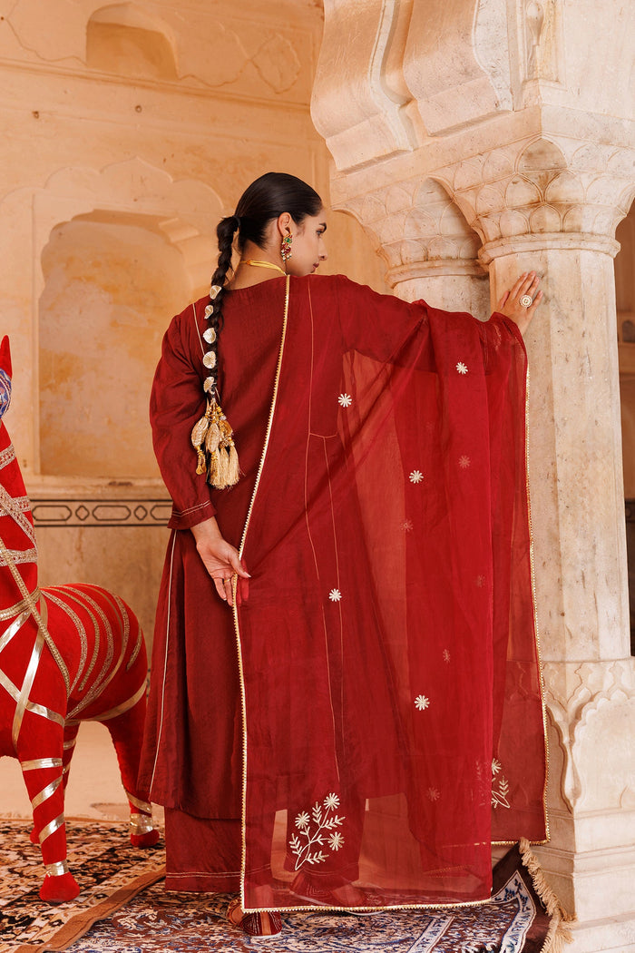 Rust Red Chanderi Anarkali With Star Embroidery