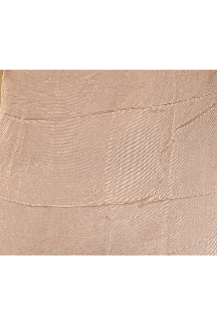 Silver Grey With Paithani Style Elephant Motif Border Designer Saree