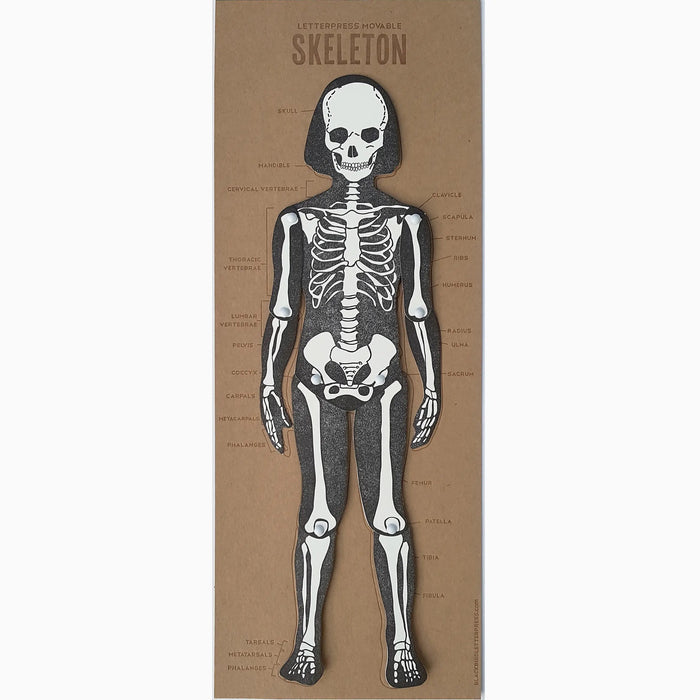 Skeleton Articulating Letterpress Figure