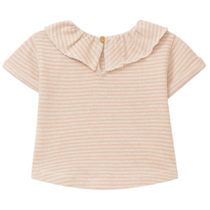 Snug - Organic Ruffle Collar Top - Coral Stripe-Short Sleeves-1M-Posh Baby