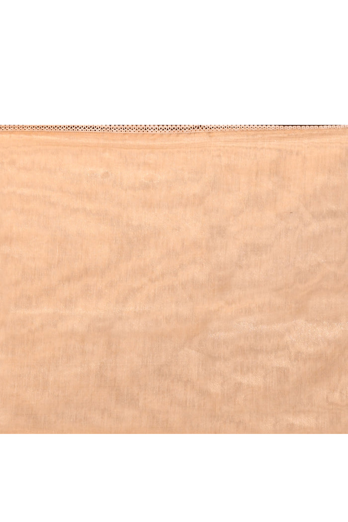 Soft Beige Floral Tissue Organza Saree