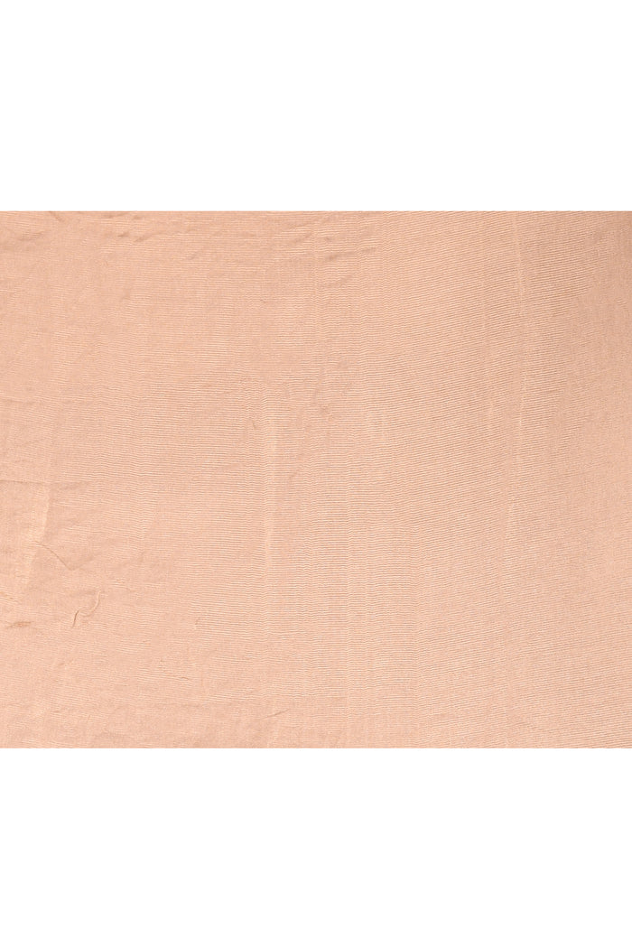 Soft Champagne With Paithani Style Elephant Motif Border Designer Saree