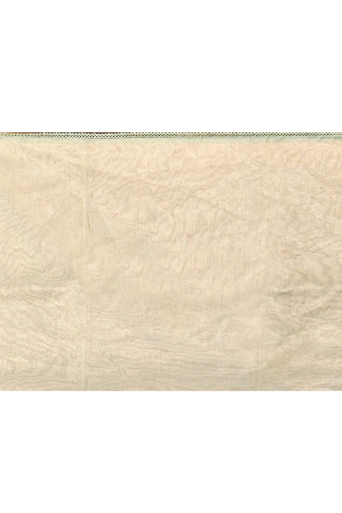 Soft Green Floral Tissue Organza Saree