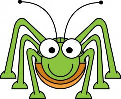 Spider Bye-Bye: Natural Pest Protection Spray (Spider and Ants) (Free Shipping)