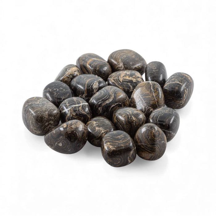 Stromatolite Tumbled 1/2 Kg-1lbs