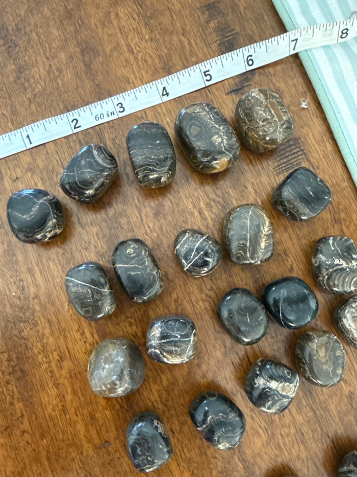 Stromatolite Tumbled 1/2 Kg-1lbs