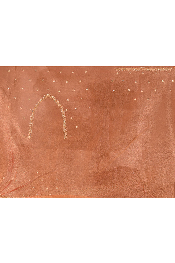 Sunset Amber Floral Jaal Tissue Embroidery Saree
