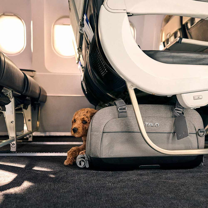 Tavo Pets by Nuna - Dupree II™ Airline Carry-On Pet Car Seat-Tavo Pets-Onyx-Posh Baby