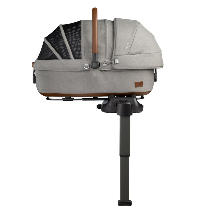 Medium Rigid (up to 30 lb) / Merle