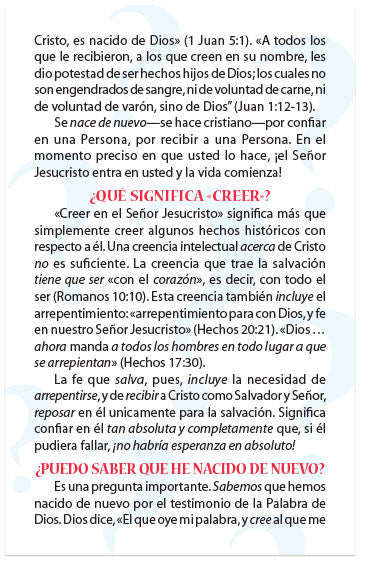 The Big Question (Spanish)