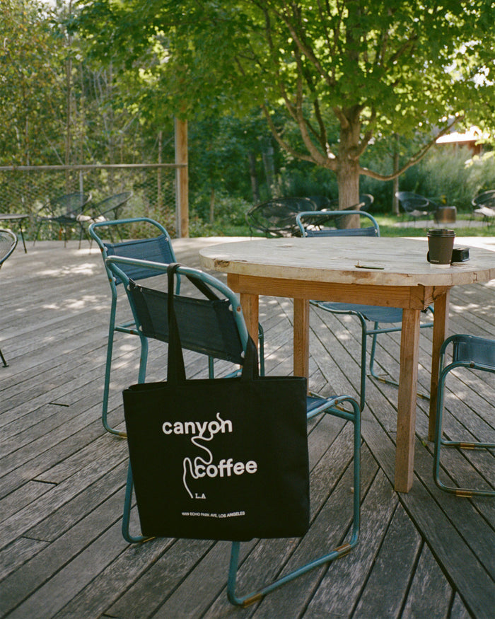 The Canyon Book Tote