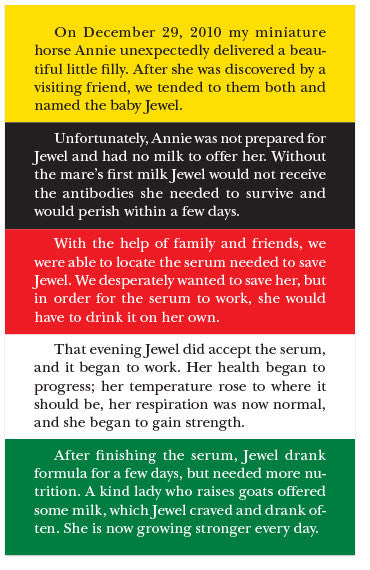 The Colors of Jewel (KJV)