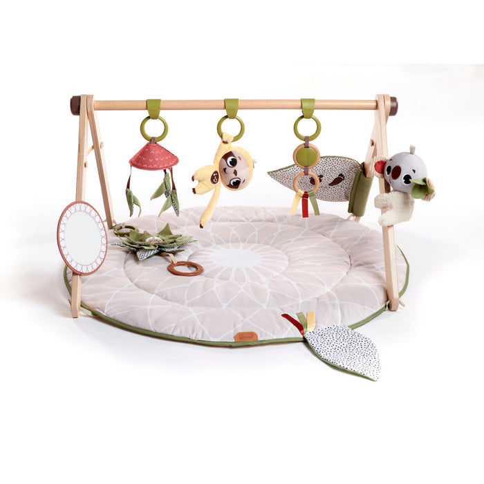 Tiny Love - Developmental Gymini - Boho Chic-Play Gyms + Play Mats-Posh Baby