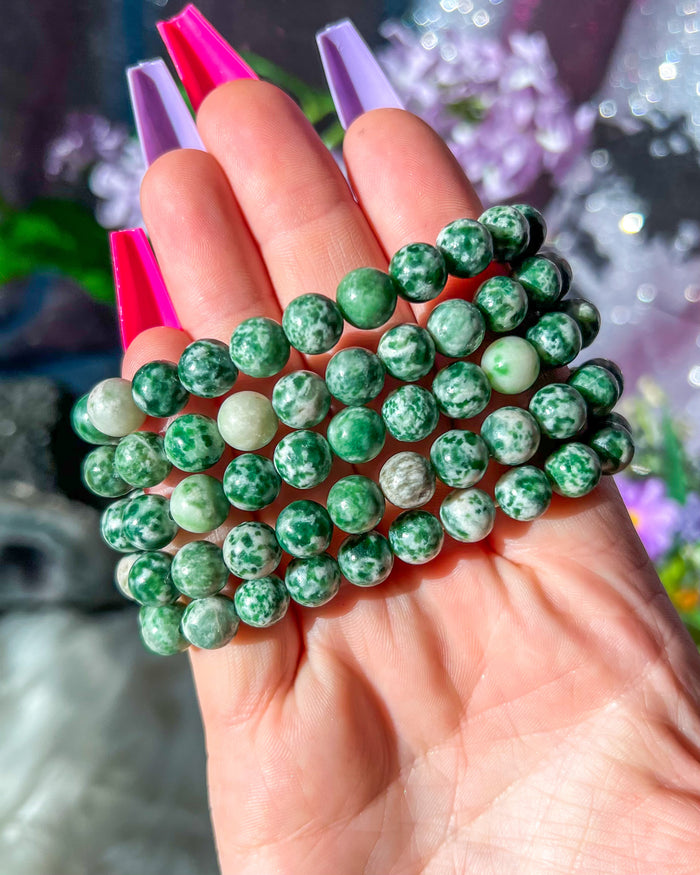 Tree Agate Bracelet {8mm}
