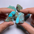 Turquoise - Kingman Mine, Arizona, USA