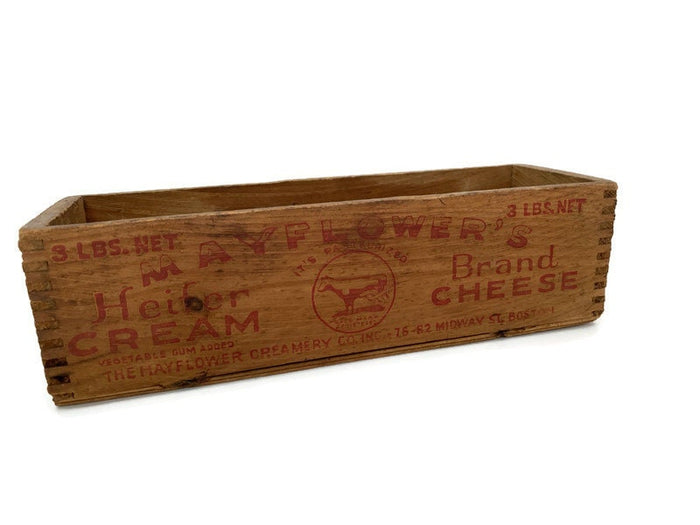 Vintage Mayflower's Cheese Box at Duckwells