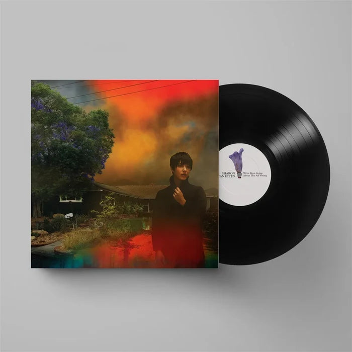 We've Been Going About This All Wrong 12" Black Vinyl LP - Bingo Merch