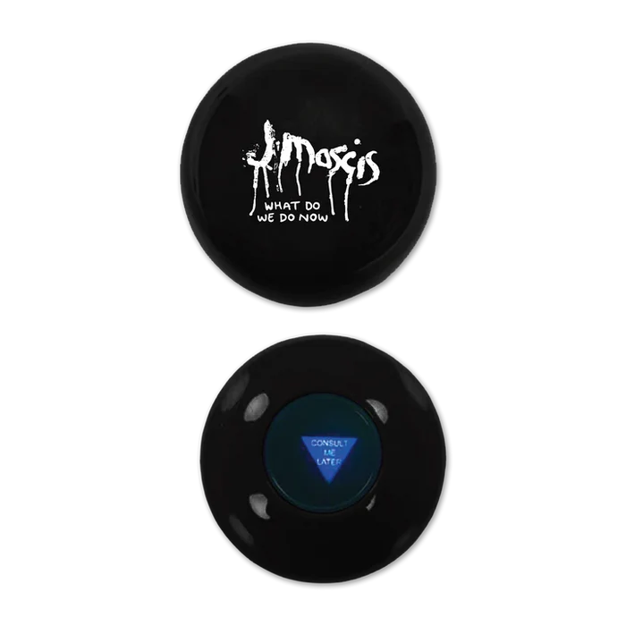 What Do We Do Now 8-Ball - Bingo Merch